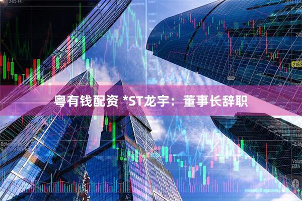 粤有钱配资 *ST龙宇：董事长辞职