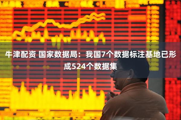 牛津配资 国家数据局：我国7个数据标注基地已形成524个数据集