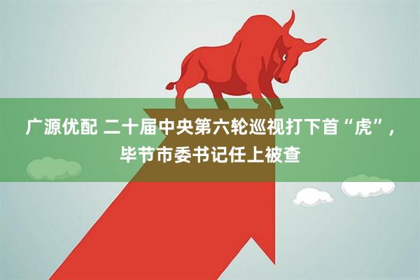 广源优配 二十届中央第六轮巡视打下首“虎”，毕节市委书记任上被查