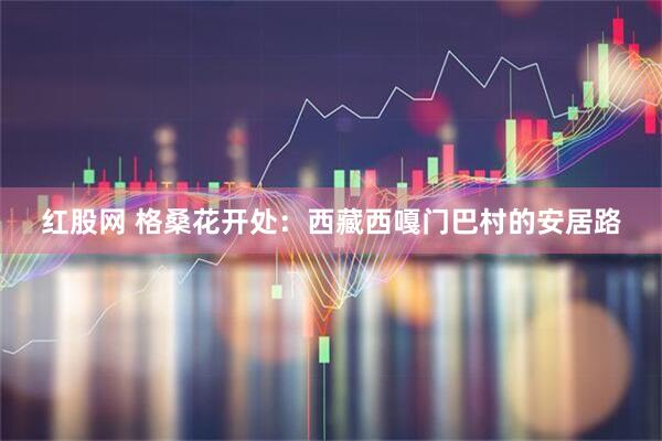 红股网 格桑花开处：西藏西嘎门巴村的安居路