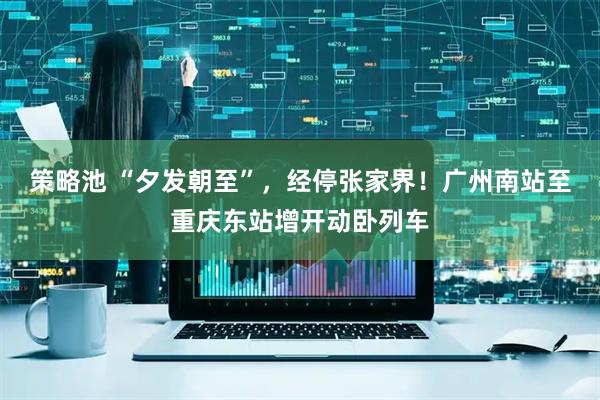 策略池 “夕发朝至”，经停张家界！广州南站至重庆东站增开动卧列车
